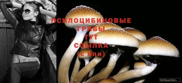 мяу мяу мука Ленинск