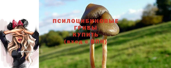герыч Россошь