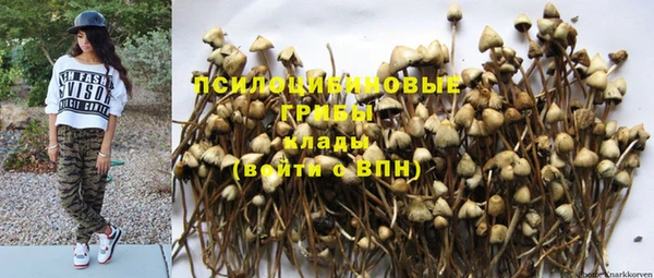 герыч Россошь