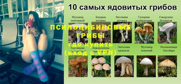 герыч Россошь